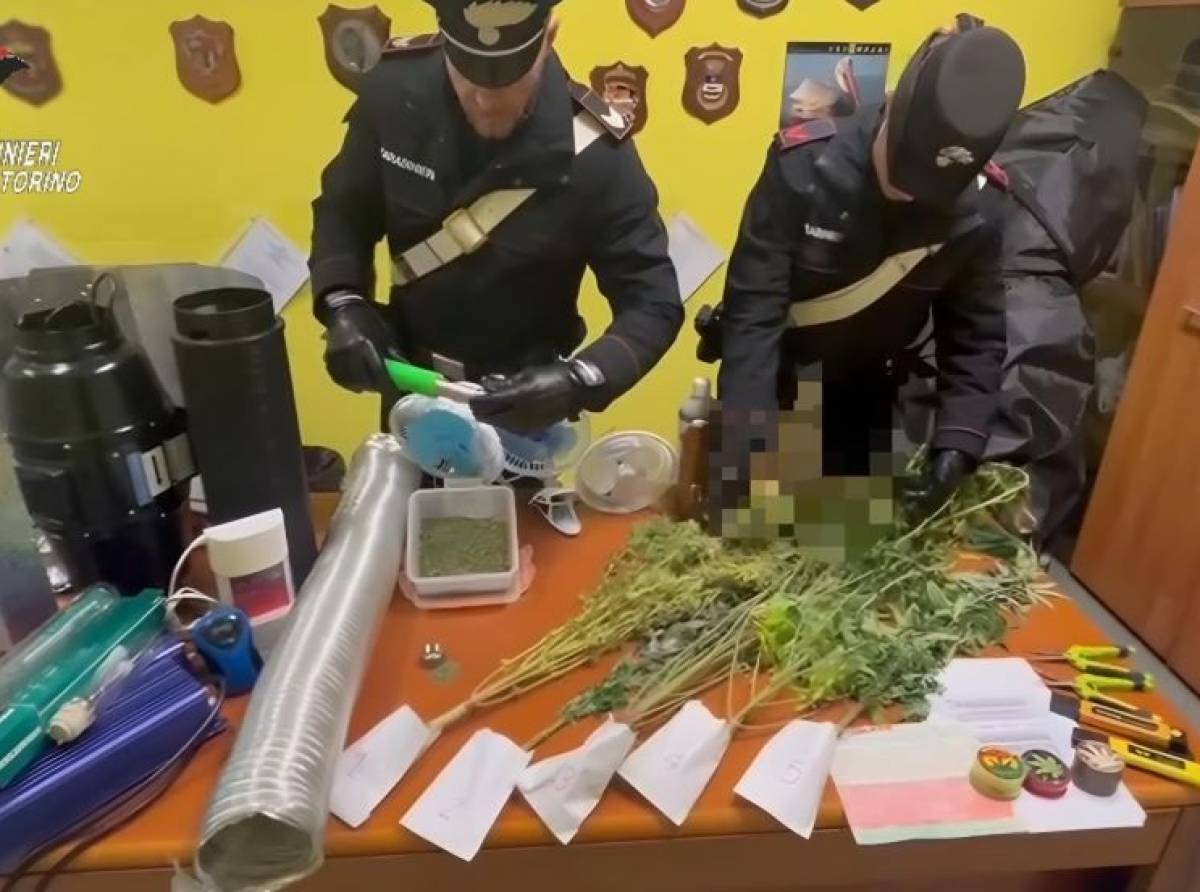 Coltivava marijuana in casa. Denunciato dai carabinieri di Volpiano, un 34enne di San Benigno